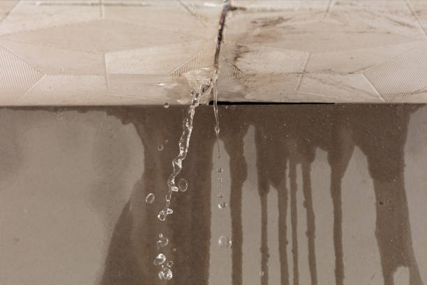Professional Water Extraction technician working in Mineral Ridge, OH